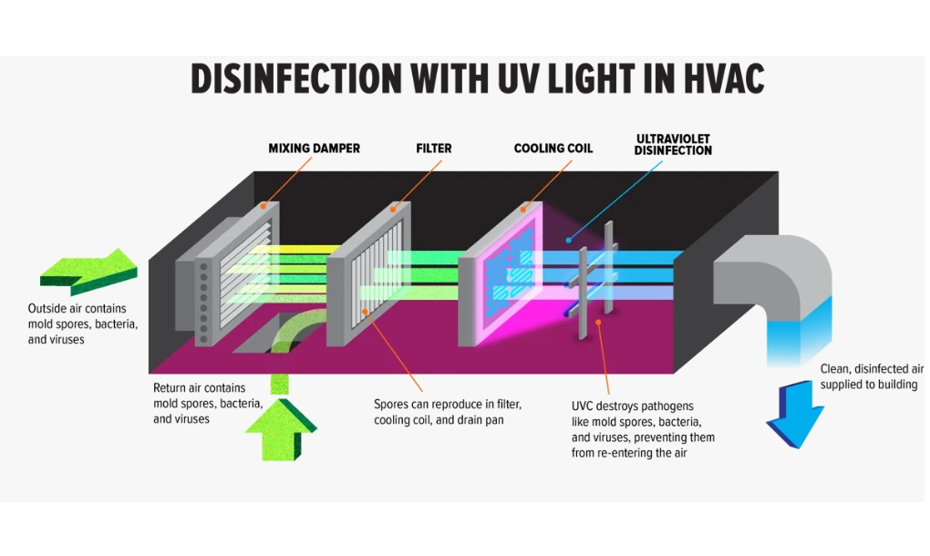 disinfection of uv light