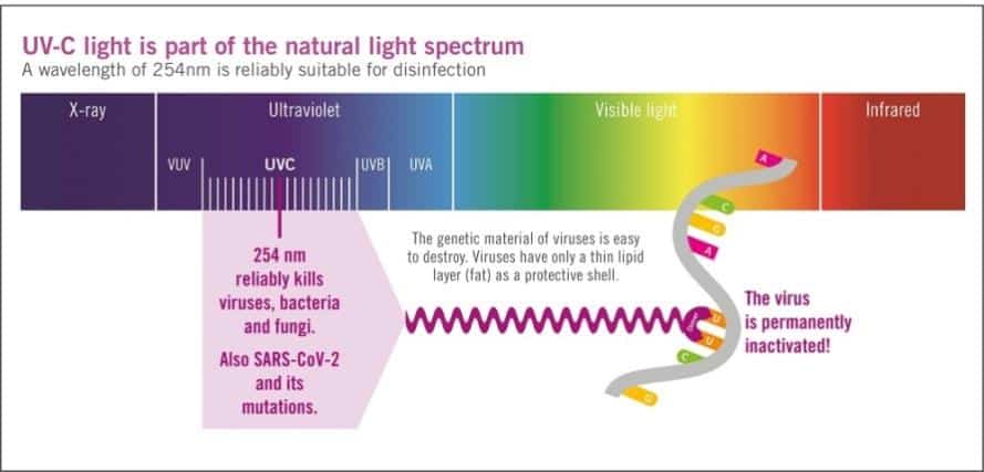 Natural Light Spectrum
